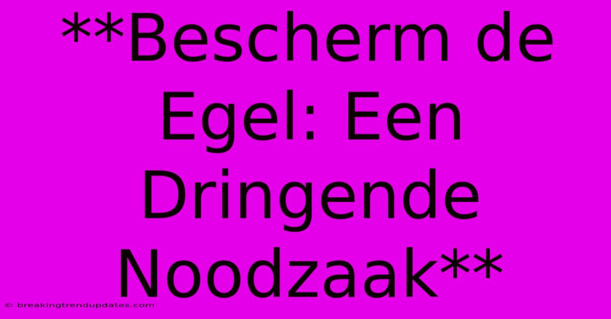 **Bescherm De Egel: Een Dringende Noodzaak** **Bescherm De Egel: Een Dringende Noodzaak**