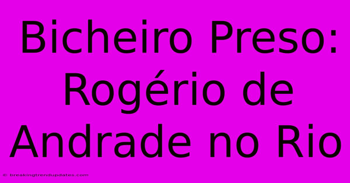 Bicheiro Preso: Rogério De Andrade No Rio 