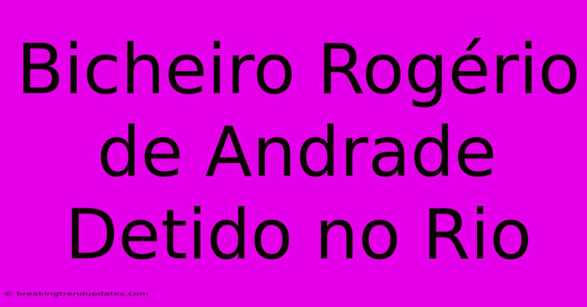 Bicheiro Rogério De Andrade Detido No Rio