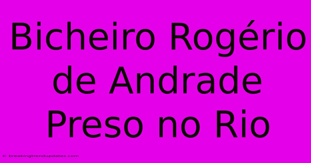 Bicheiro Rogério De Andrade Preso No Rio Bicheiro Rogério De Andrade Preso No Rio