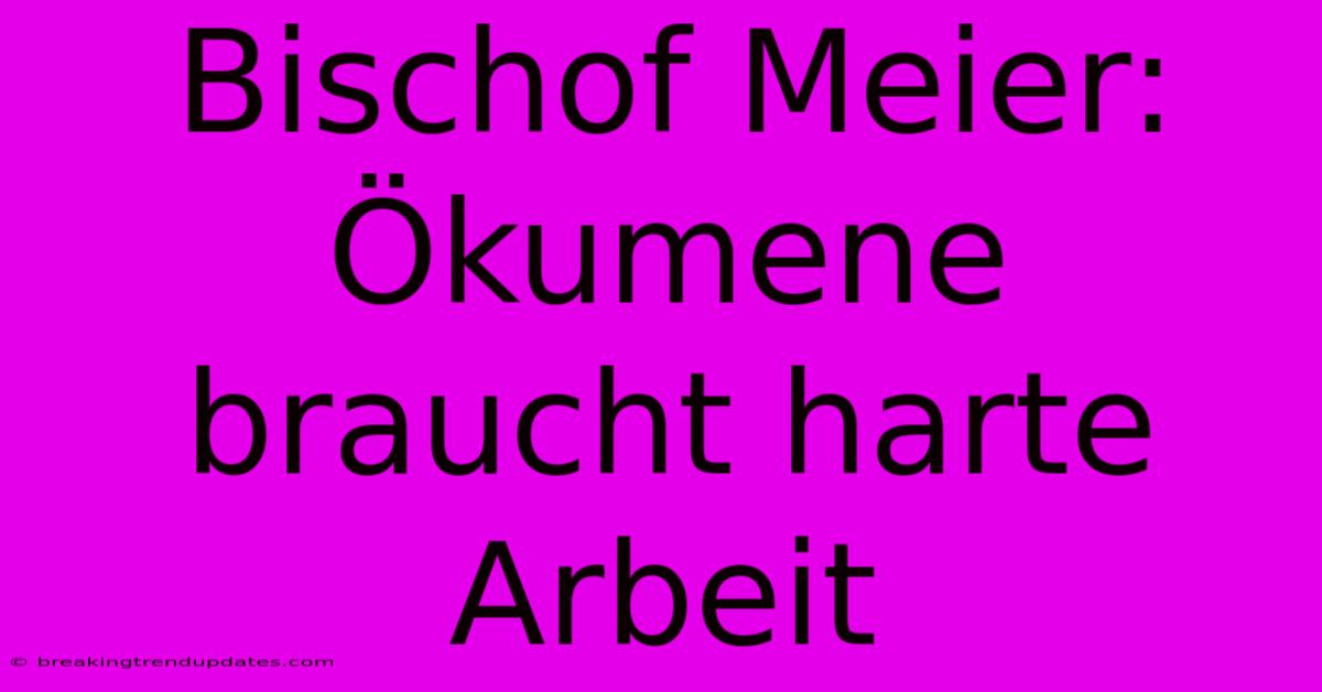 Bischof Meier: Ökumene Braucht Harte Arbeit Bischof Meier: Ökumene Braucht Harte Arbeit