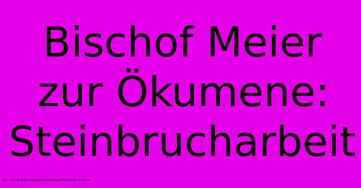 Bischof Meier Zur Ökumene: Steinbrucharbeit