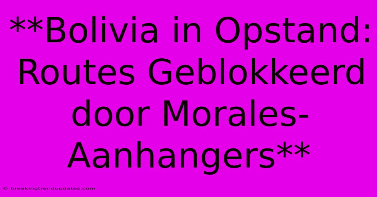 **Bolivia In Opstand: Routes Geblokkeerd Door Morales-Aanhangers**