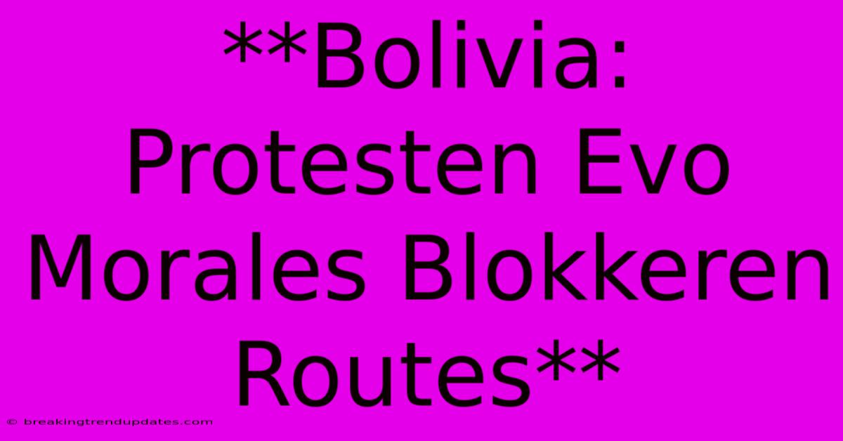 **Bolivia: Protesten Evo Morales Blokkeren Routes**
