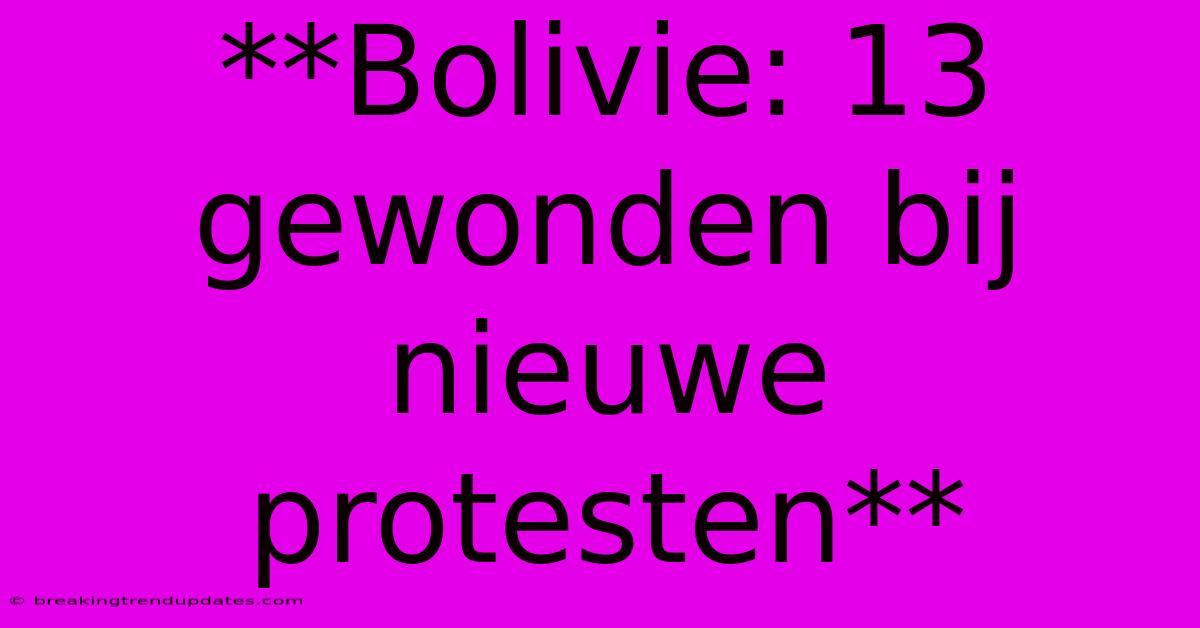 **Bolivie: 13 Gewonden Bij Nieuwe Protesten**