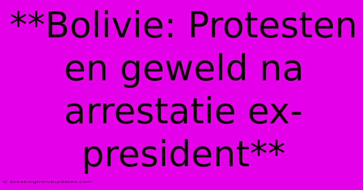 **Bolivie: Protesten En Geweld Na Arrestatie Ex-president**
