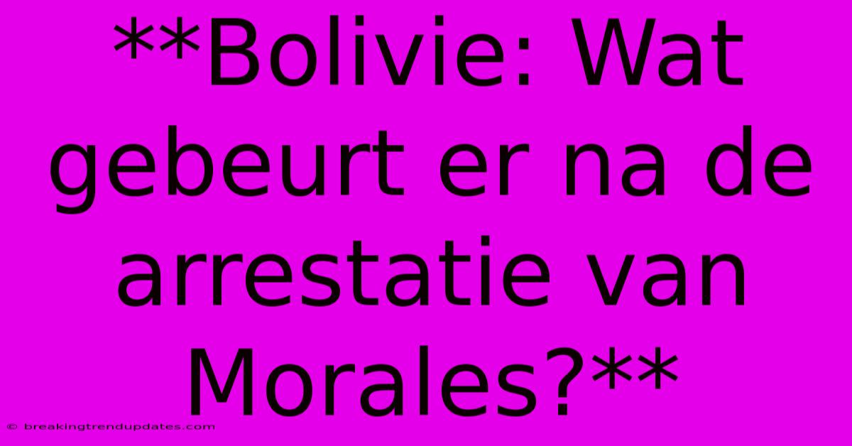**Bolivie: Wat Gebeurt Er Na De Arrestatie Van Morales?** 