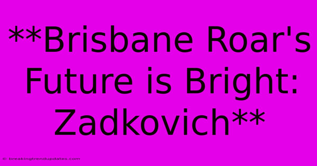 **Brisbane Roar's Future Is Bright: Zadkovich**