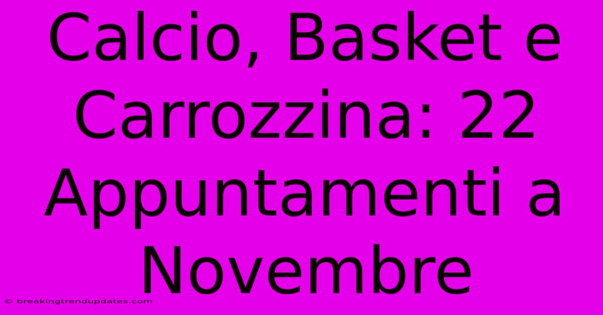 Calcio, Basket E Carrozzina: 22 Appuntamenti A Novembre