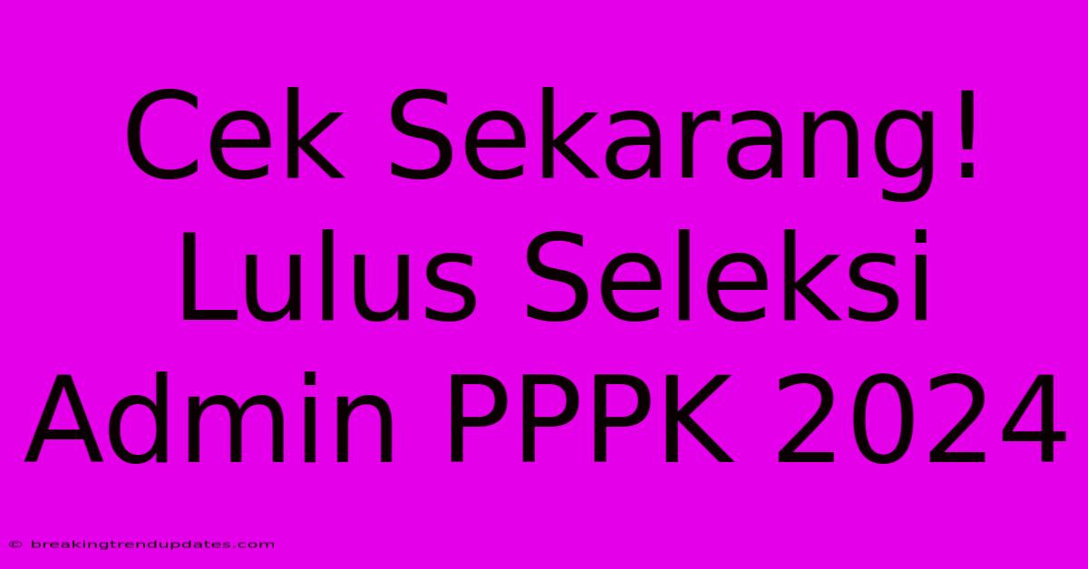 Cek Sekarang! Lulus Seleksi Admin PPPK 2024