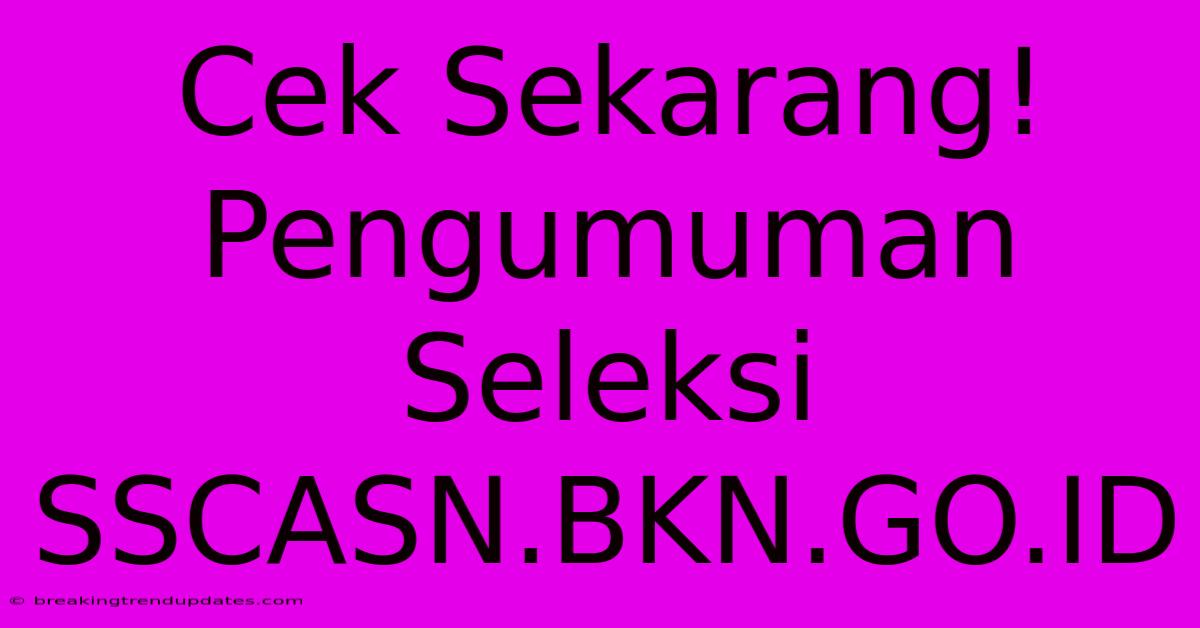 Cek Sekarang! Pengumuman Seleksi SSCASN.BKN.GO.ID Cek Sekarang! Pengumuman Seleksi SSCASN.BKN.GO.ID