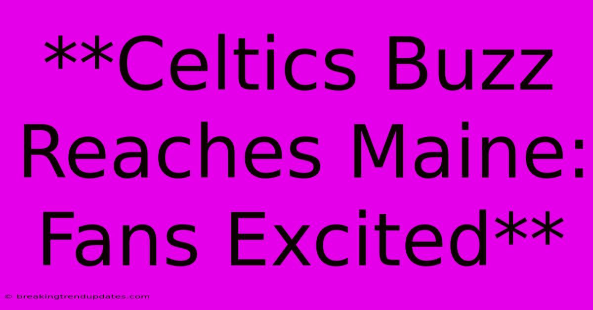 **Celtics Buzz Reaches Maine: Fans Excited** **Celtics Buzz Reaches Maine: Fans Excited**