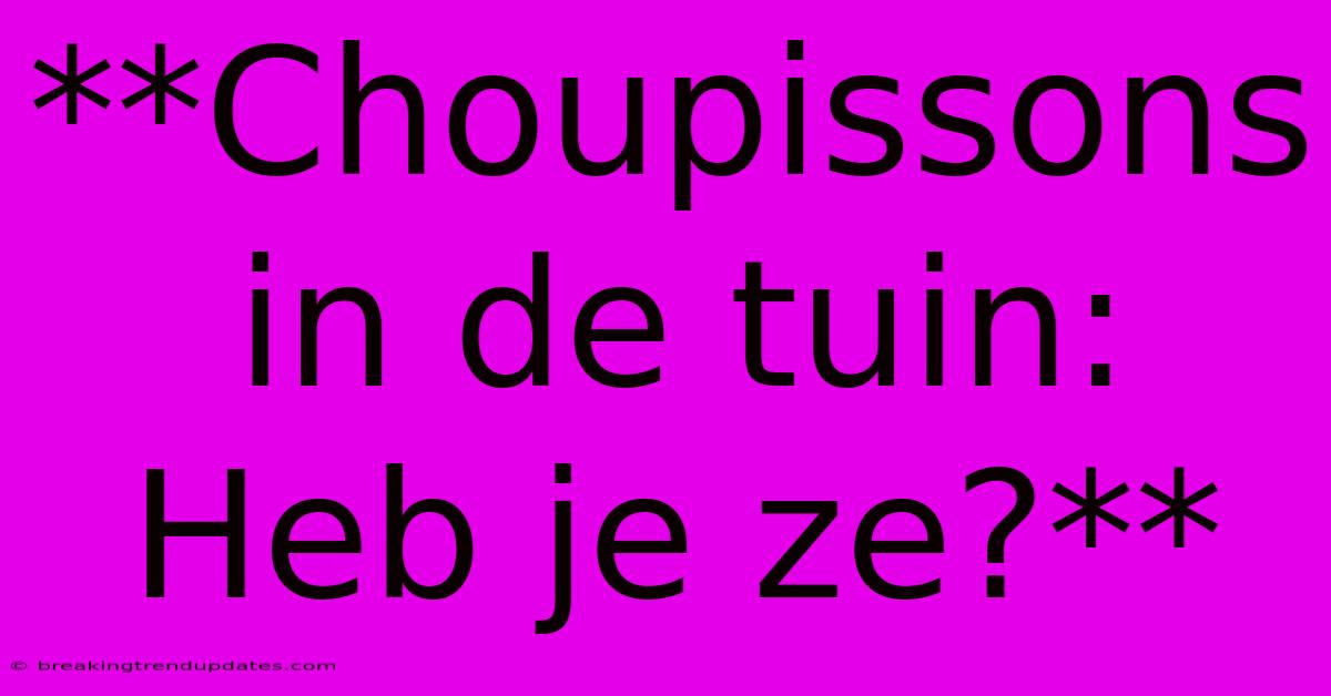 **Choupissons In De Tuin: Heb Je Ze?** **Choupissons In De Tuin: Heb Je Ze?**