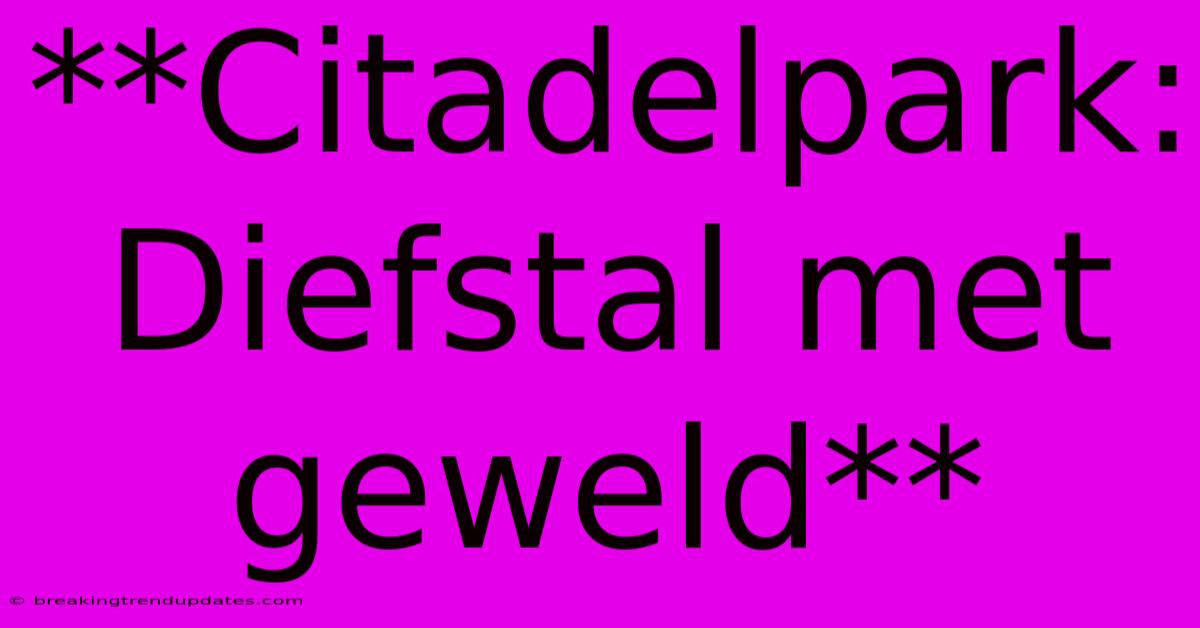 **Citadelpark: Diefstal Met Geweld**