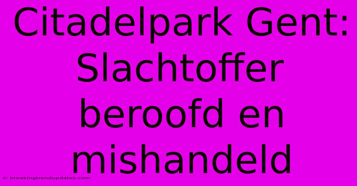 Citadelpark Gent: Slachtoffer Beroofd En Mishandeld