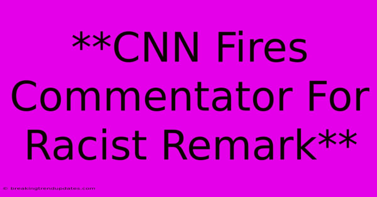 **CNN Fires Commentator For Racist Remark**