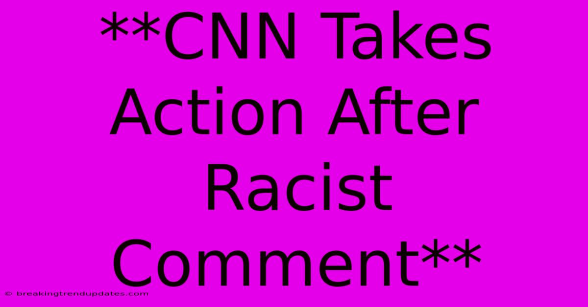 **CNN Takes Action After Racist Comment** 