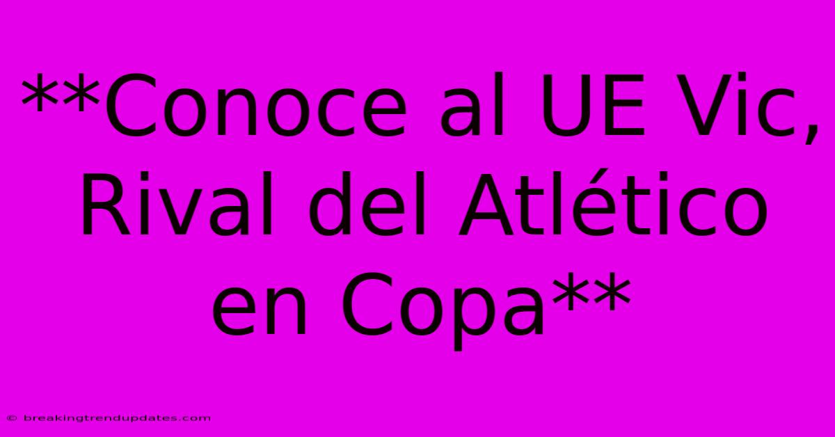 **Conoce Al UE Vic, Rival Del Atlético En Copa**