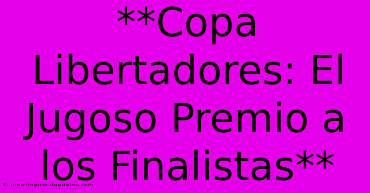**Copa Libertadores: El Jugoso Premio A Los Finalistas**