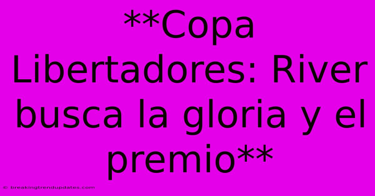 **Copa Libertadores: River Busca La Gloria Y El Premio**