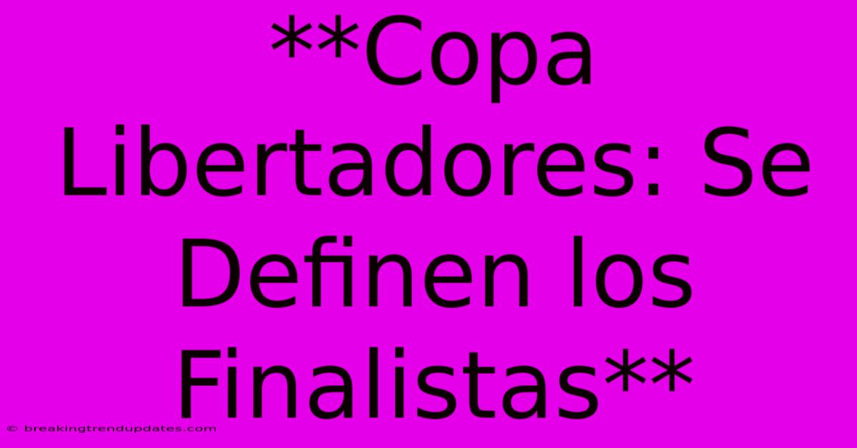 **Copa Libertadores: Se Definen Los Finalistas**