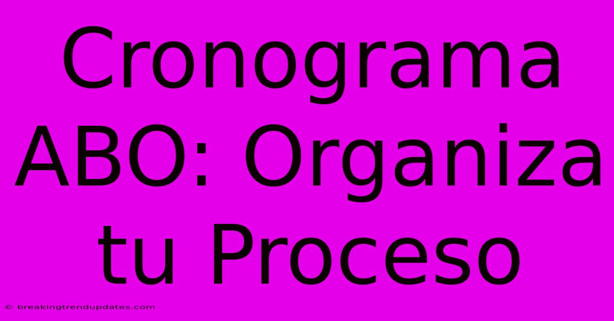 Cronograma ABO: Organiza Tu Proceso Cronograma ABO: Organiza Tu Proceso