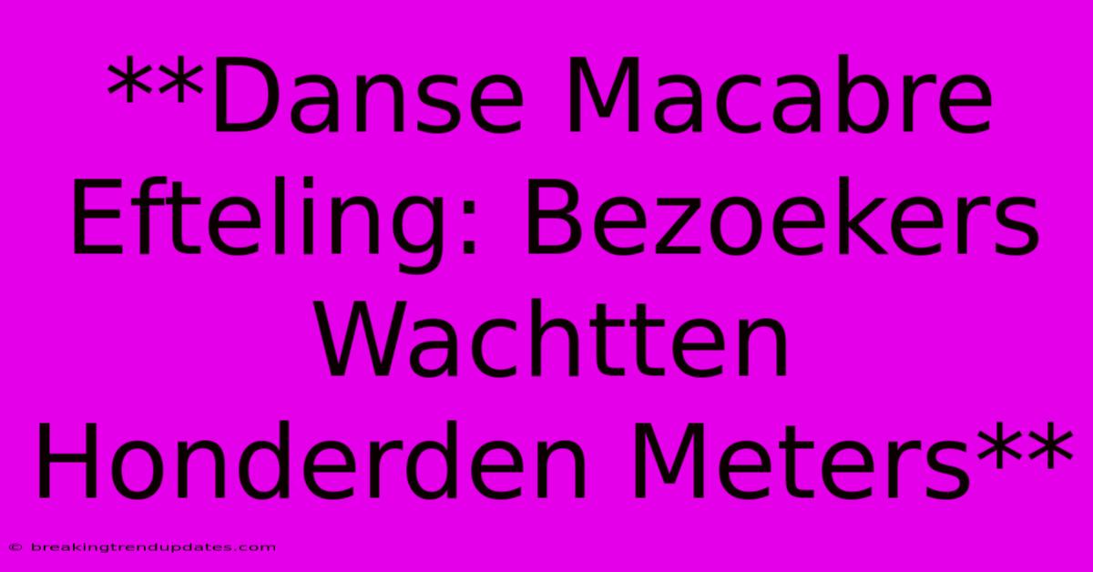 **Danse Macabre Efteling: Bezoekers Wachtten Honderden Meters** **Danse Macabre Efteling: Bezoekers Wachtten Honderden Meters**