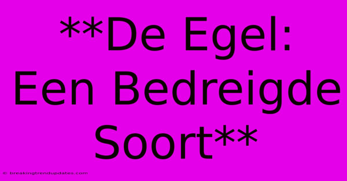 **De Egel: Een Bedreigde Soort** **De Egel: Een Bedreigde Soort**