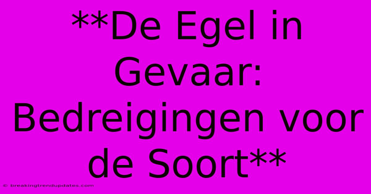 **De Egel In Gevaar: Bedreigingen Voor De Soort** **De Egel In Gevaar: Bedreigingen Voor De Soort**