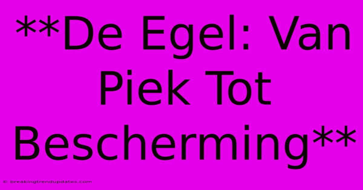 **De Egel: Van Piek Tot Bescherming** **De Egel: Van Piek Tot Bescherming**