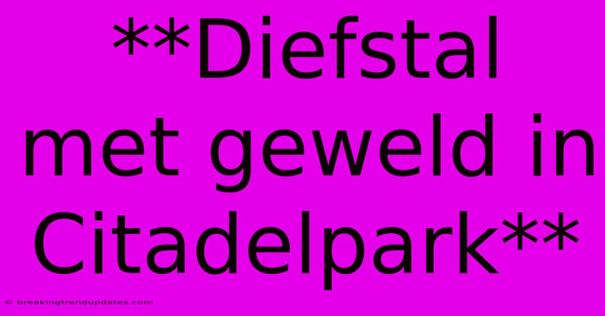 **Diefstal Met Geweld In Citadelpark** **Diefstal Met Geweld In Citadelpark**