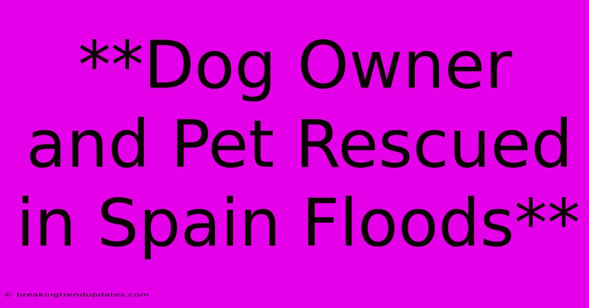 **Dog Owner And Pet Rescued In Spain Floods**