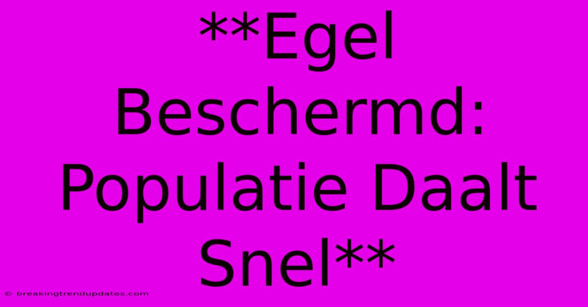 **Egel Beschermd: Populatie Daalt Snel**