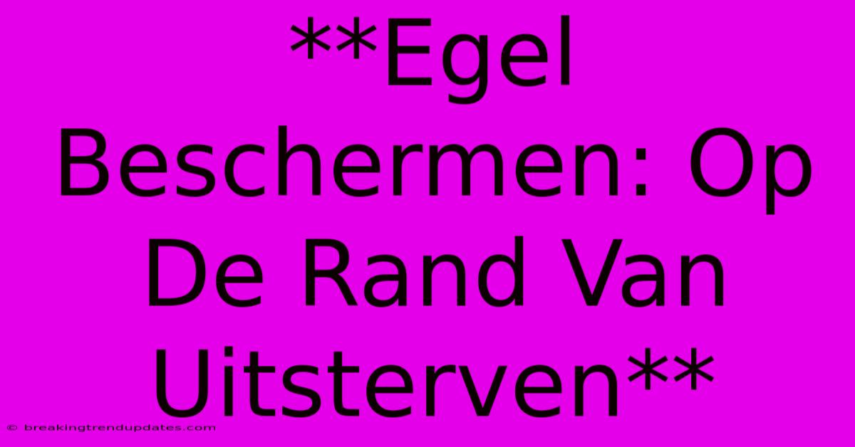 **Egel Beschermen: Op De Rand Van Uitsterven** **Egel Beschermen: Op De Rand Van Uitsterven**
