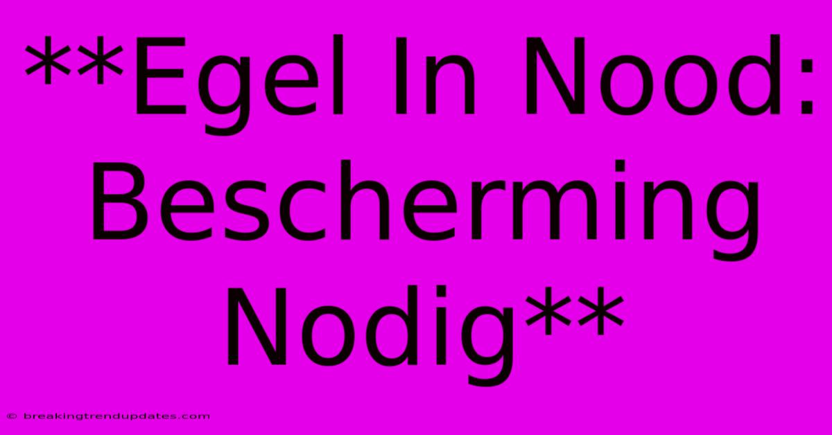 **Egel In Nood: Bescherming Nodig** **Egel In Nood: Bescherming Nodig**