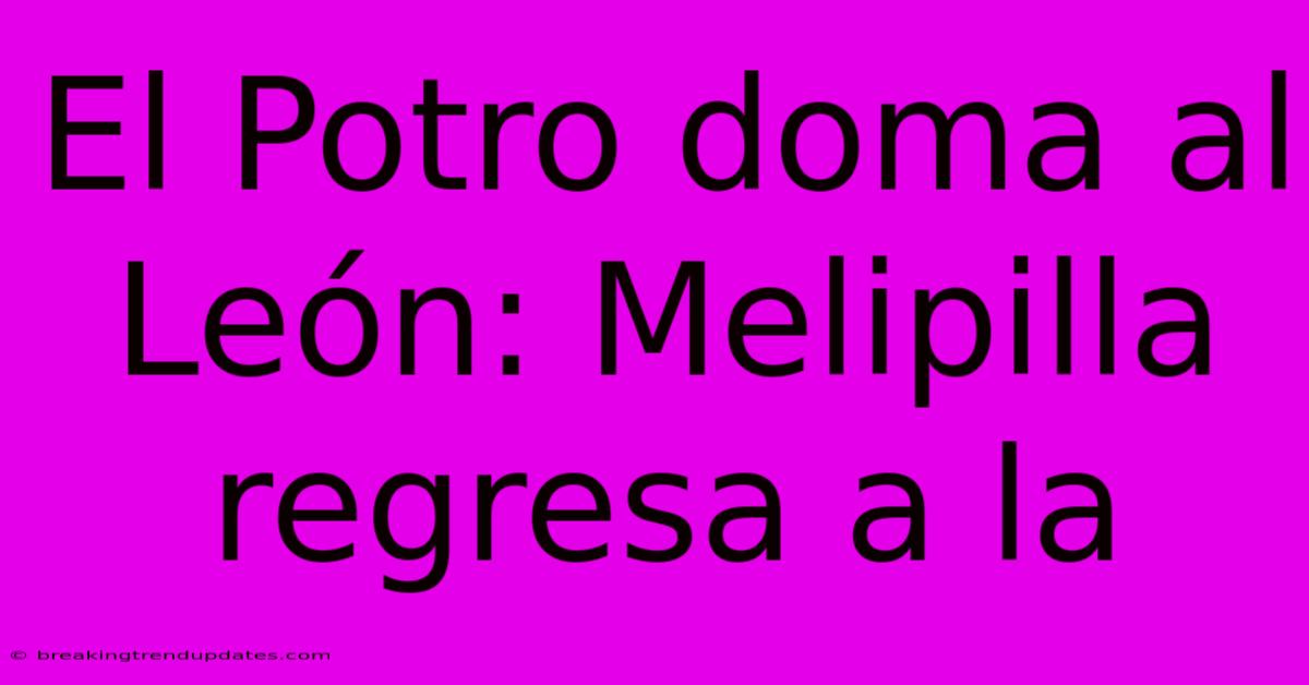 El Potro Doma Al León: Melipilla Regresa A La El Potro Doma Al León: Melipilla Regresa A La