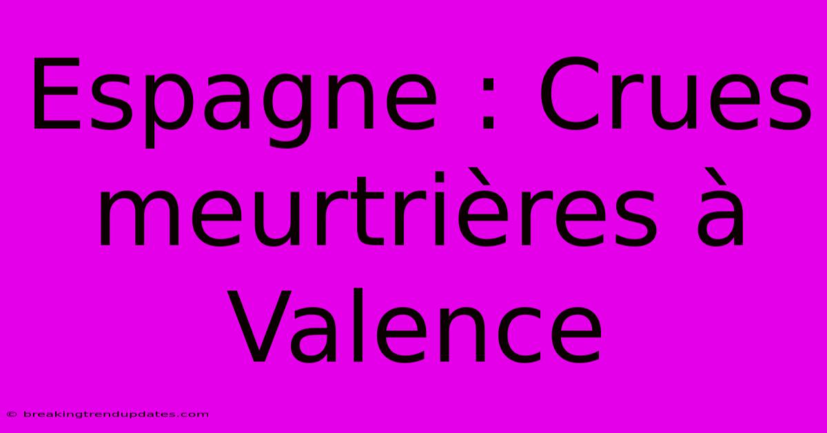 Espagne : Crues Meurtrières À Valence