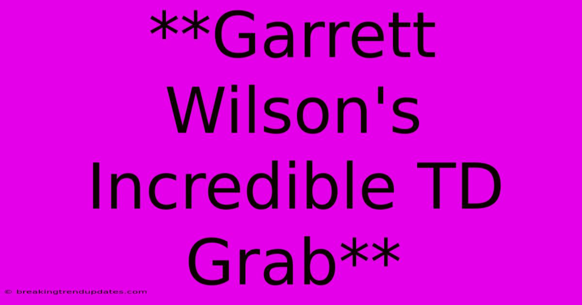 **Garrett Wilson's Incredible TD Grab** **Garrett Wilson's Incredible TD Grab**