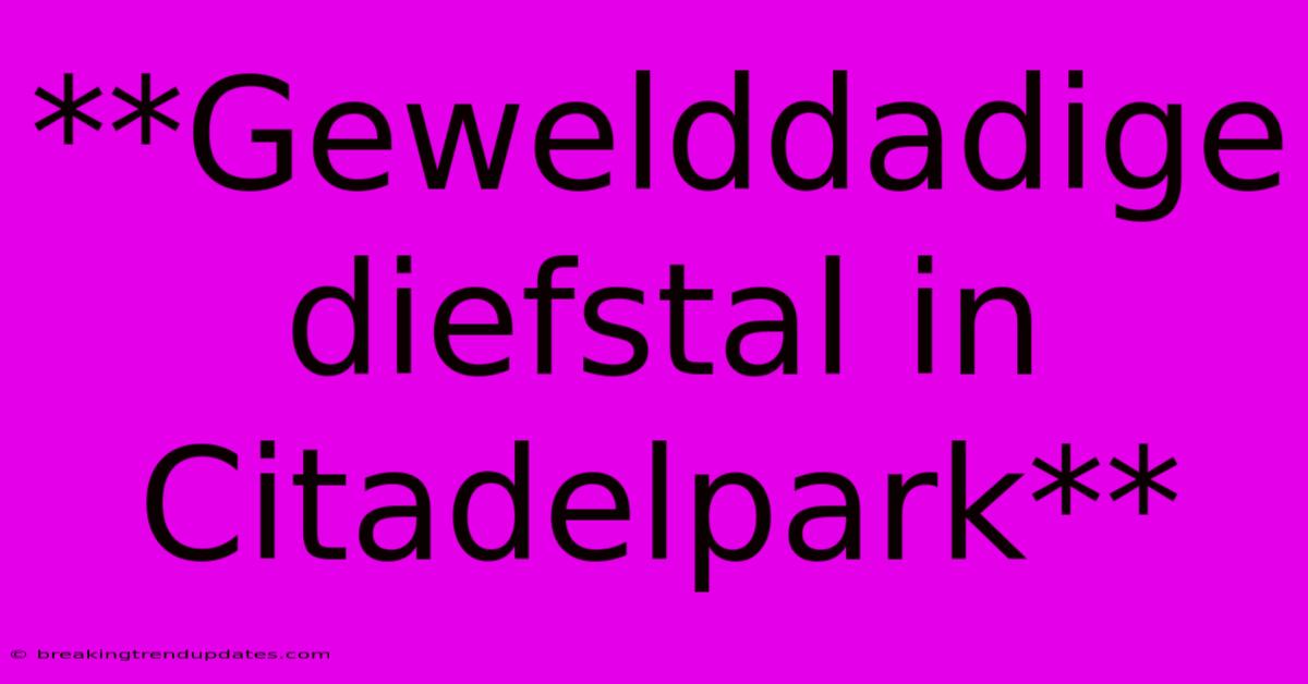 **Gewelddadige Diefstal In Citadelpark** **Gewelddadige Diefstal In Citadelpark**