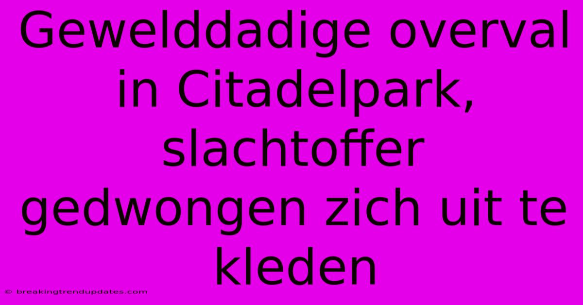 Gewelddadige Overval In Citadelpark, Slachtoffer Gedwongen Zich Uit Te Kleden Gewelddadige Overval In Citadelpark, Slachtoffer Gedwongen Zich Uit Te Kleden