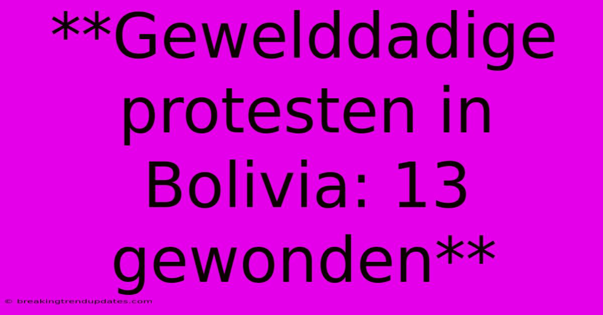 **Gewelddadige Protesten In Bolivia: 13 Gewonden**