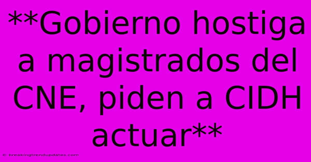**Gobierno Hostiga A Magistrados Del CNE, Piden A CIDH Actuar**