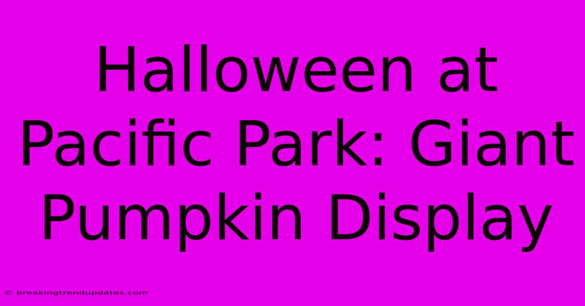 Halloween At Pacific Park: Giant Pumpkin Display Halloween At Pacific Park: Giant Pumpkin Display