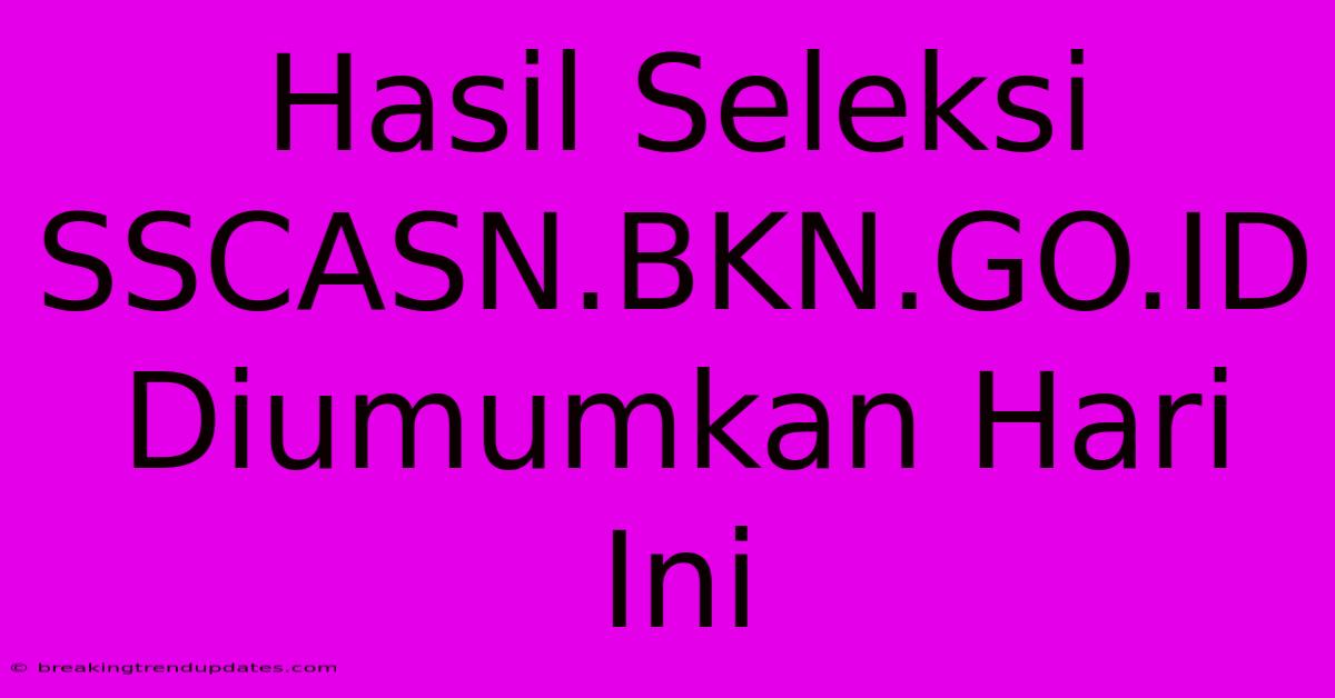 Hasil Seleksi SSCASN.BKN.GO.ID Diumumkan Hari Ini 