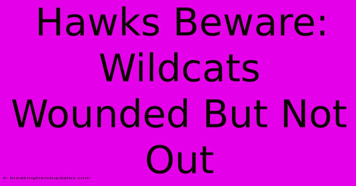 Hawks Beware: Wildcats Wounded But Not Out Hawks Beware: Wildcats Wounded But Not Out