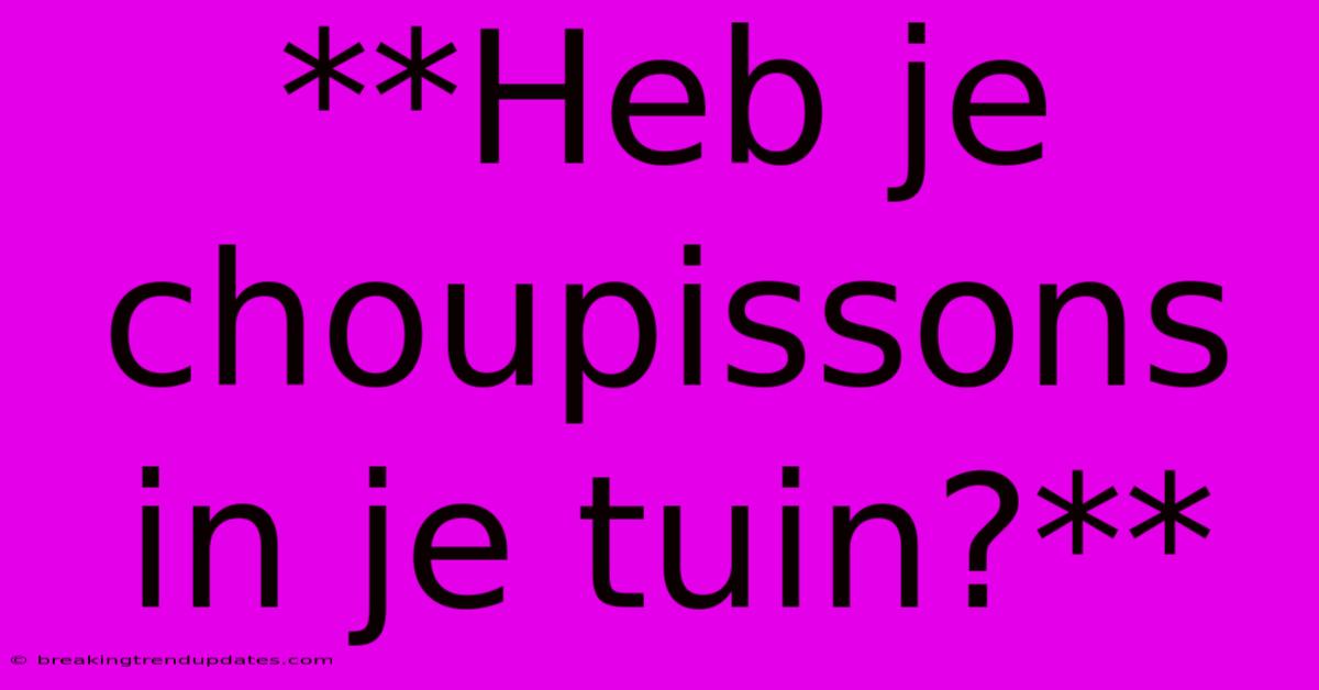 **Heb Je Choupissons In Je Tuin?**
