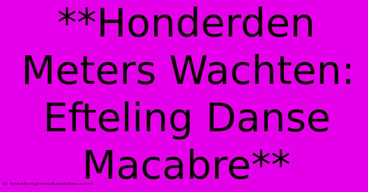 **Honderden Meters Wachten: Efteling Danse Macabre** **Honderden Meters Wachten: Efteling Danse Macabre**