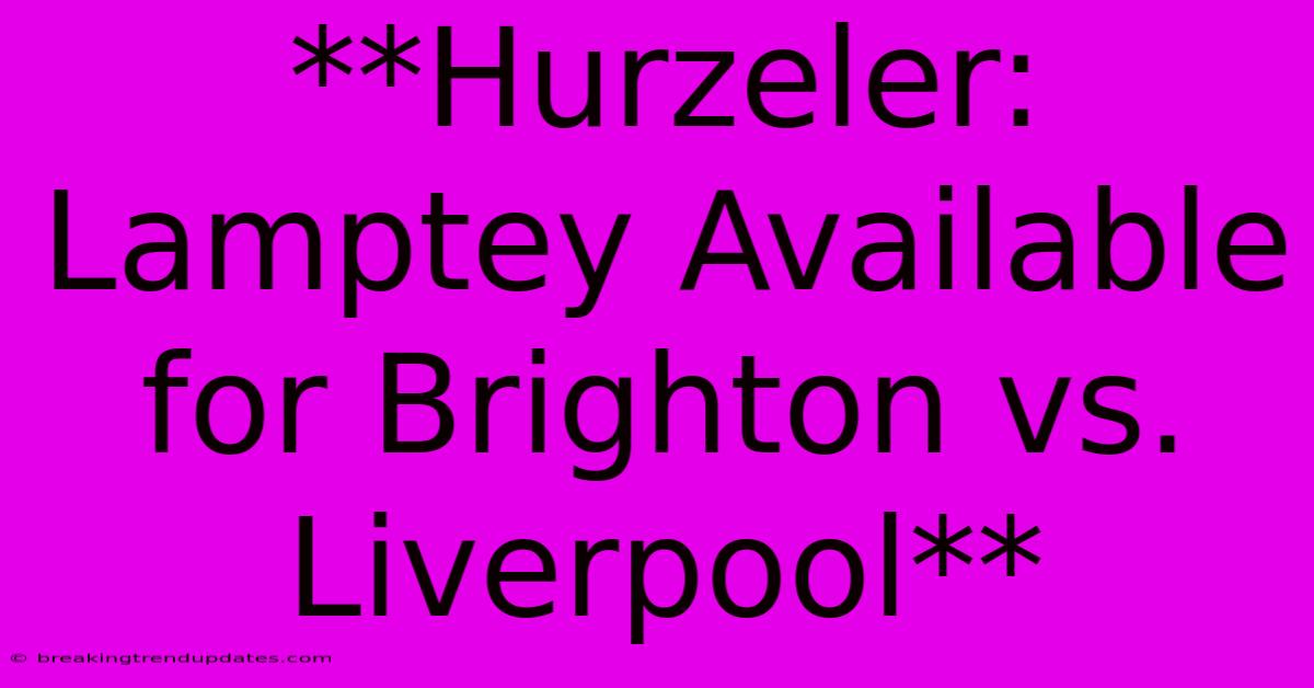 **Hurzeler: Lamptey Available For Brighton Vs. Liverpool** 