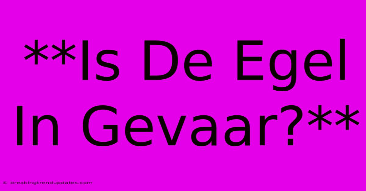 **Is De Egel In Gevaar?**
