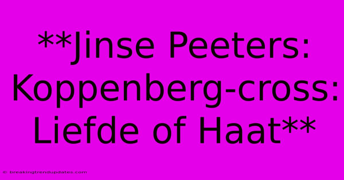 **Jinse Peeters: Koppenberg-cross: Liefde Of Haat**